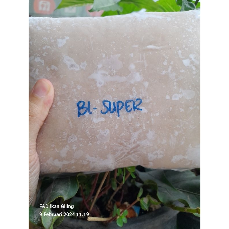 

Tenggiri Giling Kwalitas Super 1kg