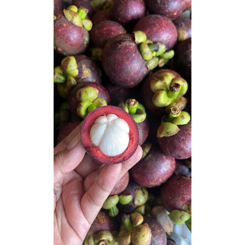 

PROMO!!!!! buah Manggis|Buah Fresh|Buah Bandung|GBMfresh