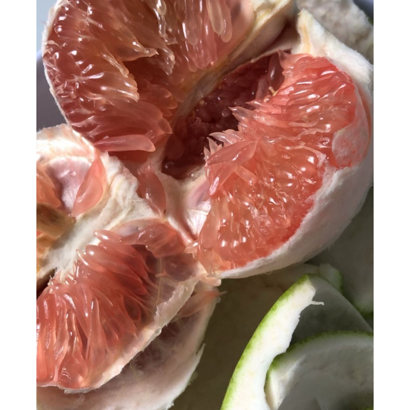 

Jeruk Pamelo Madu |Jeruk Bali Manis madu |Jeruk Manis |Buah segar|GBMfresh