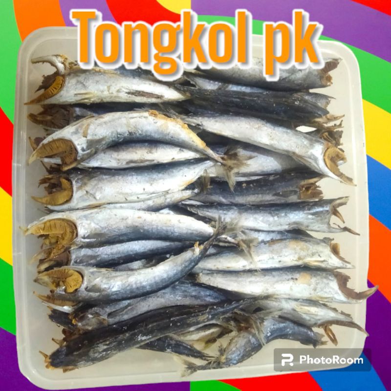 

IKAN ASIN TONGKOL REBUS BUANG KEPALA 1 KG TERLARIS