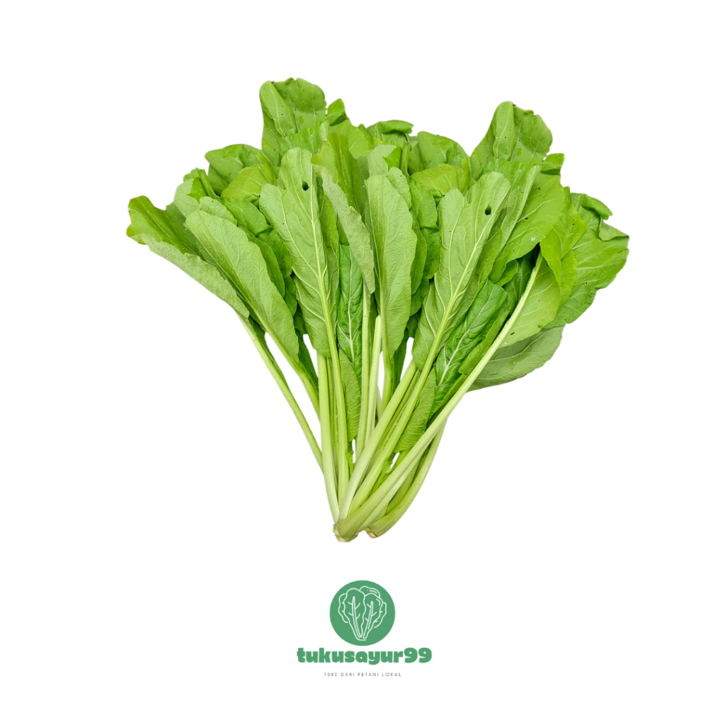 

Grosir Hemat Sawi Segar Lokal Kualitas Terbaik