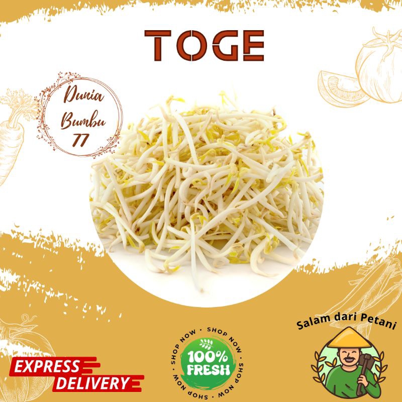 

Toge 500 gr