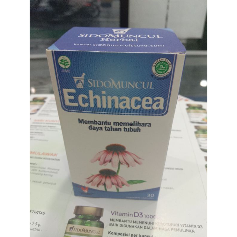 

echinacea