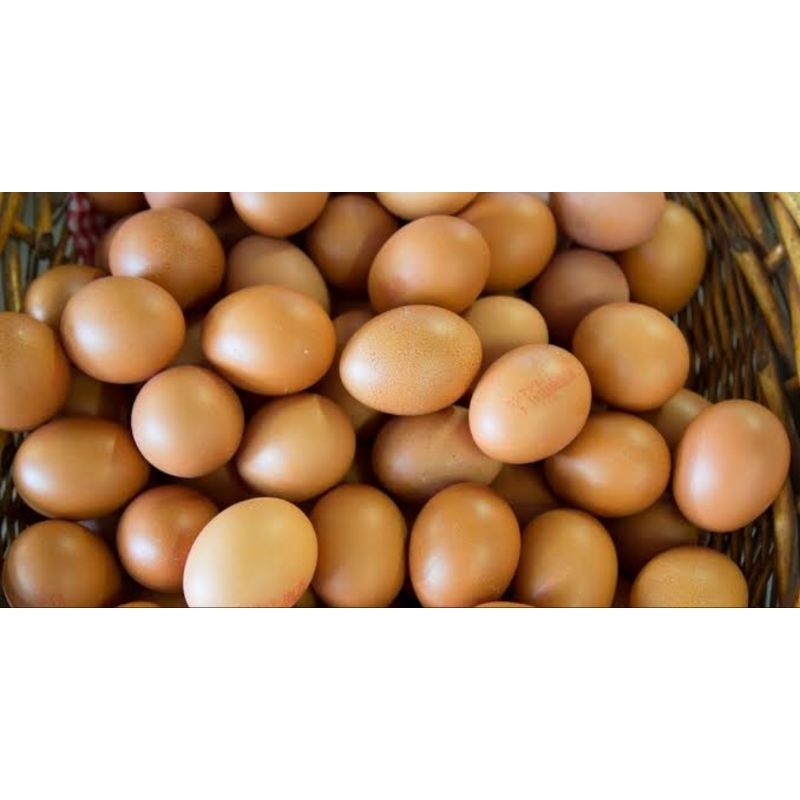 

Telur ayam 1kg
