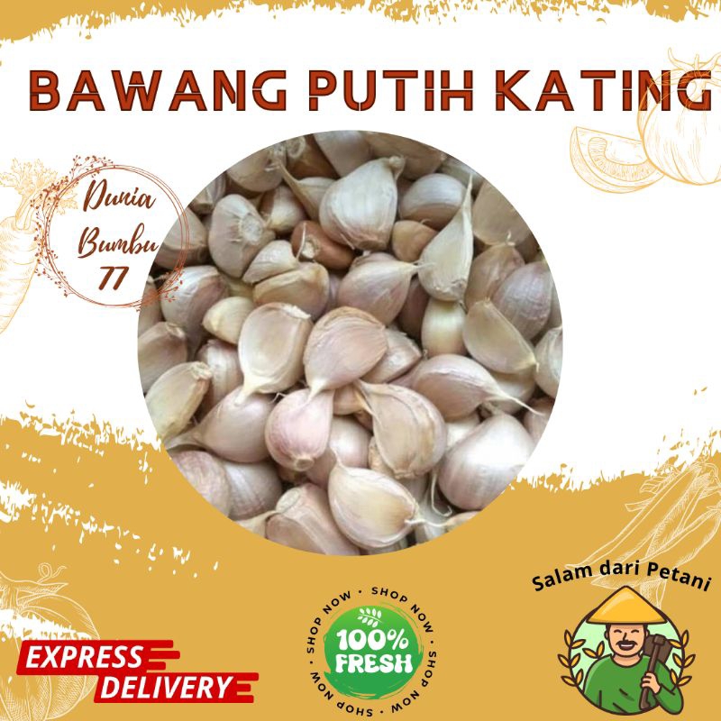 

Bawang Putuh Kating 500 gr