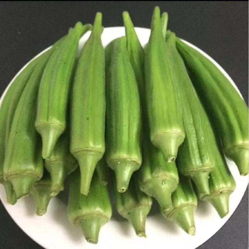 

BUAH OKRAK HIJAU Z.A