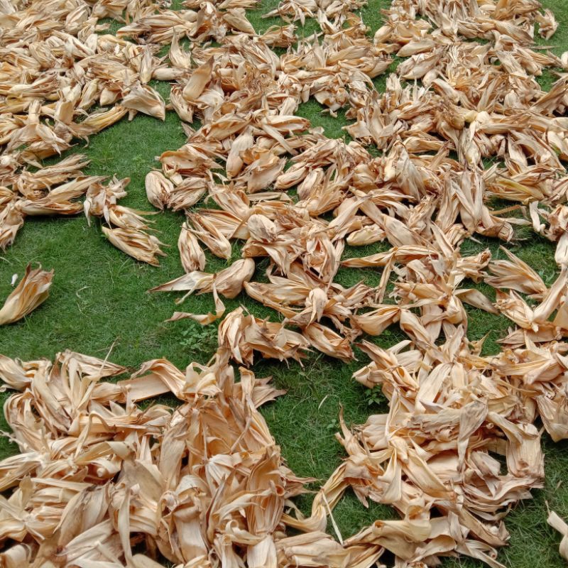 Klobot Jagung/kulit jagung kering 2 pcs/kerajinan dari kulit jagung