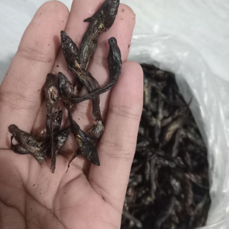 

ikan salai padi