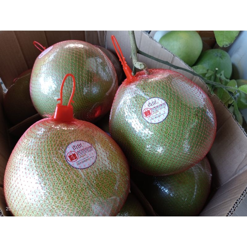 

JERUK PAMELO| jeruk Bali madu manis 13kg isi 10(PCS)