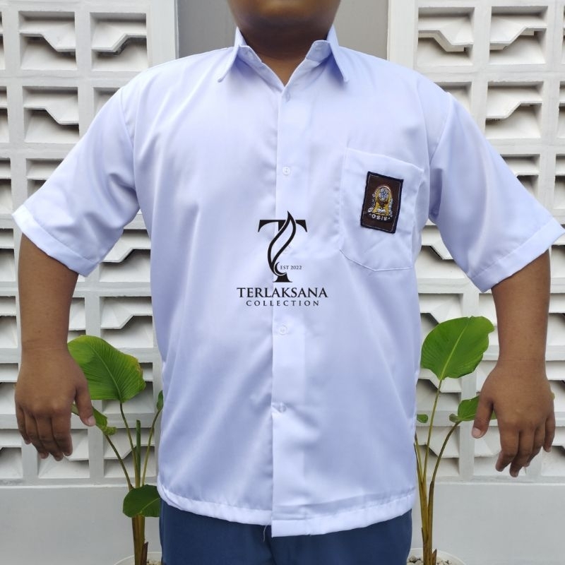 Seragam SMA JUMBO Seragam Sekolah Kemeja Putih SMA Laki-Laki dan Perempuan