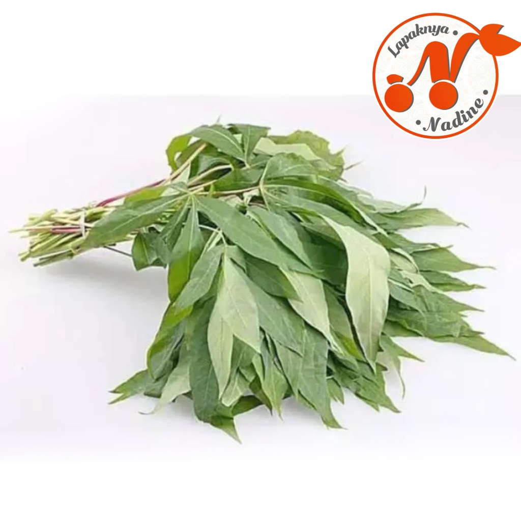 

Daun Singkong/Sayur Daun Singkong 1ikat