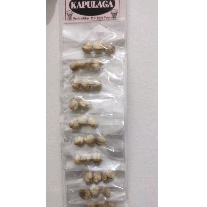 

kapulaga