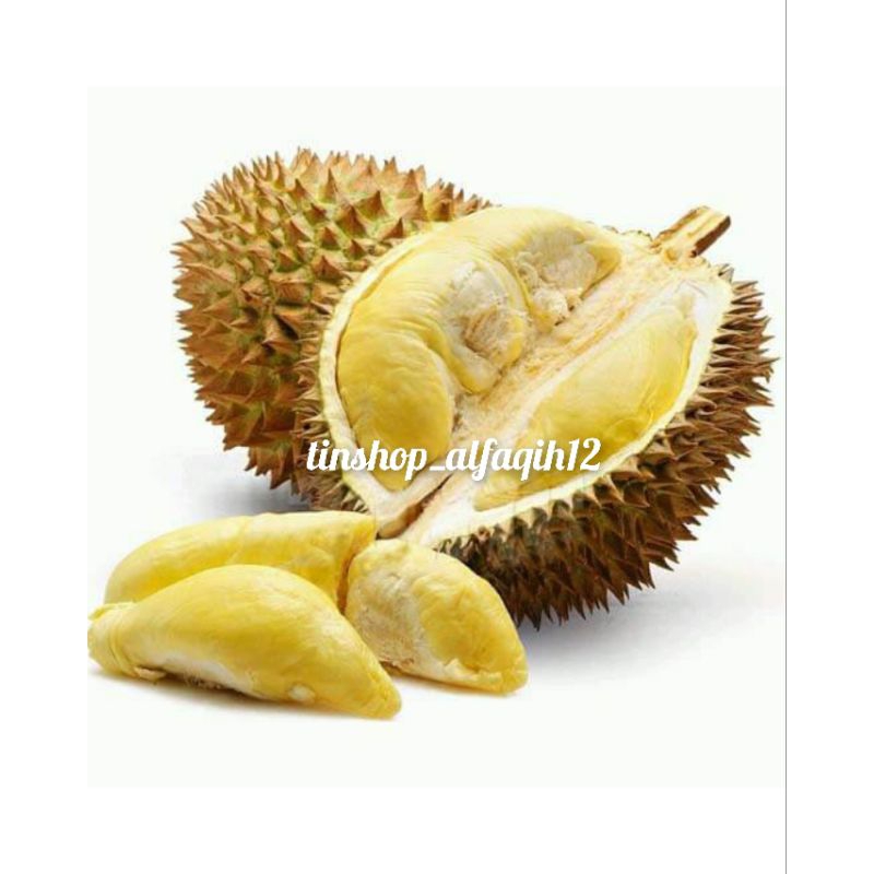 DURIAN MONTONG PALU♦️Daging Durian Utuh♦️Daging Tebal♦️Kualitas Premium♦️Frozen Rasa Mantul