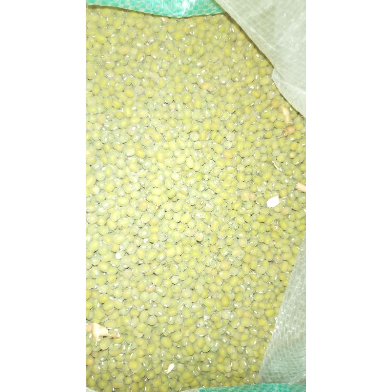 

kacang hijau lokal 1 kg
