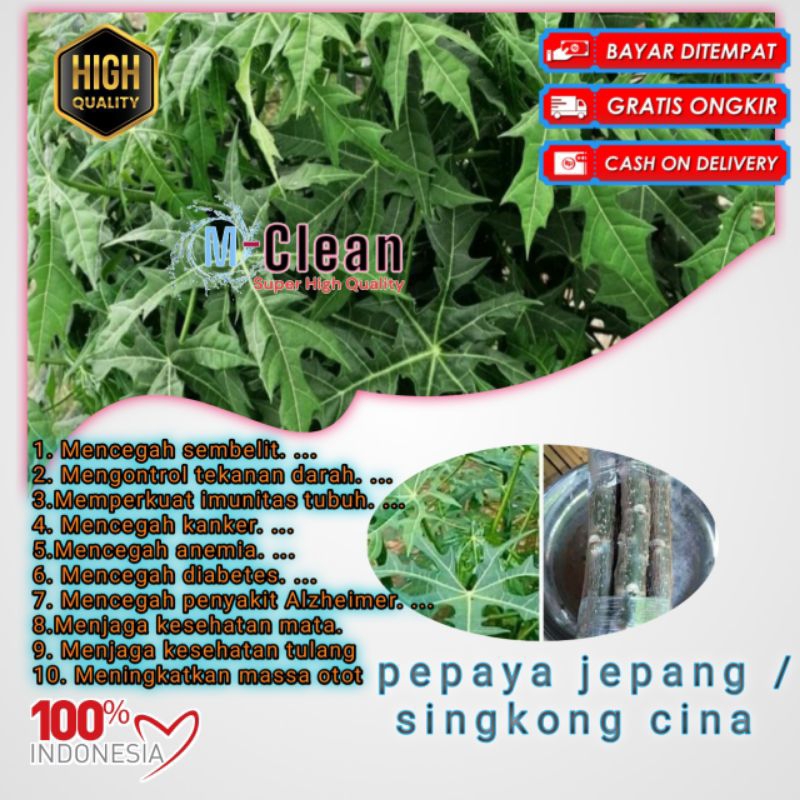 

daun pepaya jepang fresh 1kg