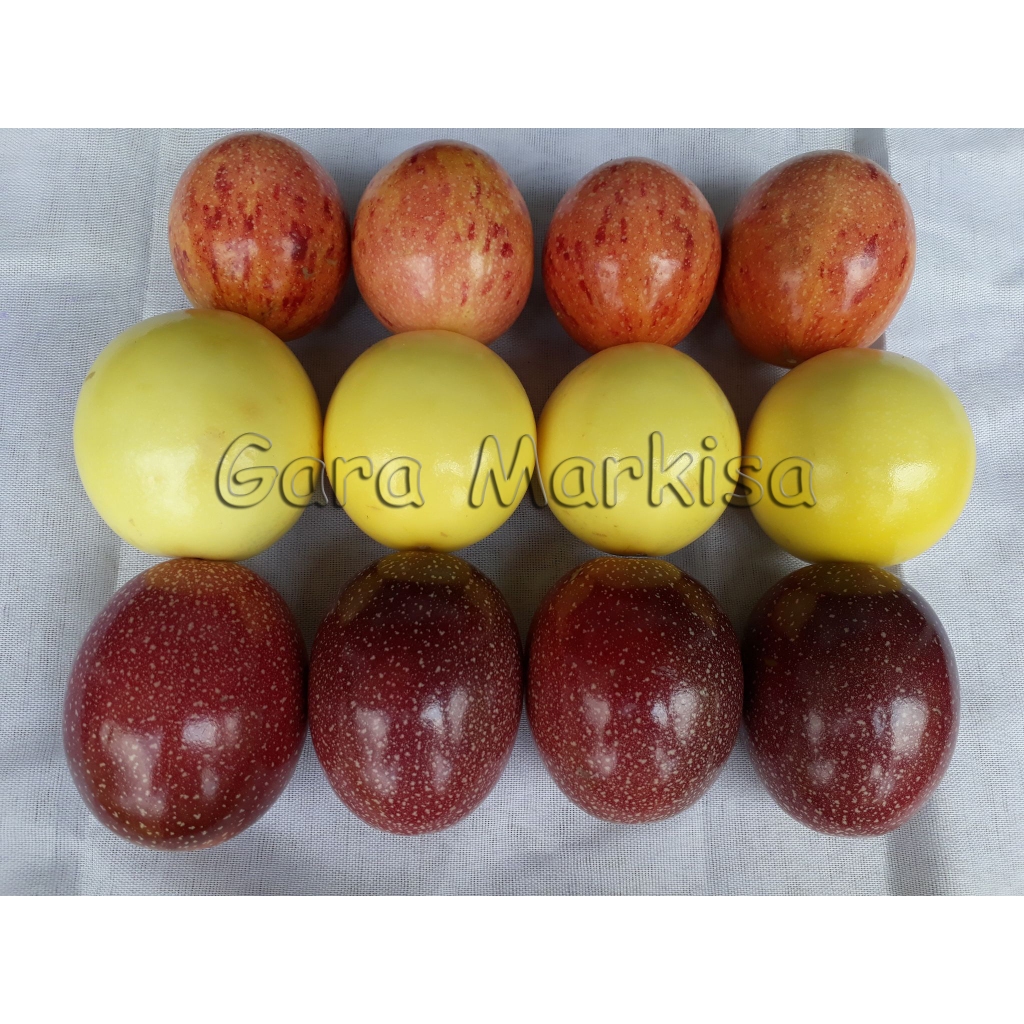 Buah Markisa Ungu Markisa Merah Markisa Kuning Berat 1kg