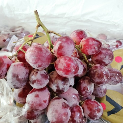 

Buah 1kg Anggur Peru, Ready Stock Delivery Jogja