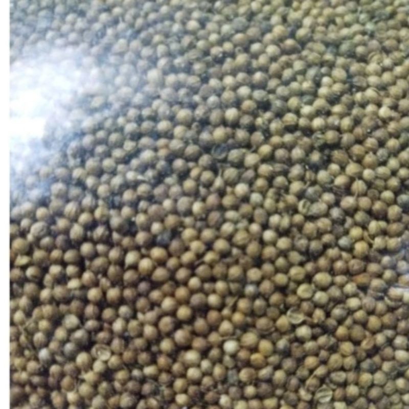 

KODE A Ketumbar Hitam 1 kg