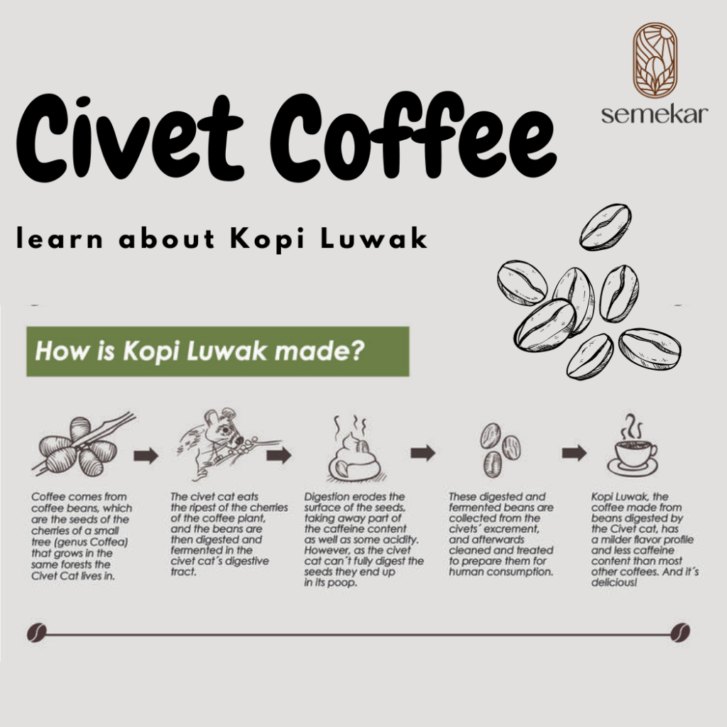 

XMASTER SEMEKAR COFFEE - KOPI LUWAK ARABICA ACEH GAYO ROASTED BEANS
