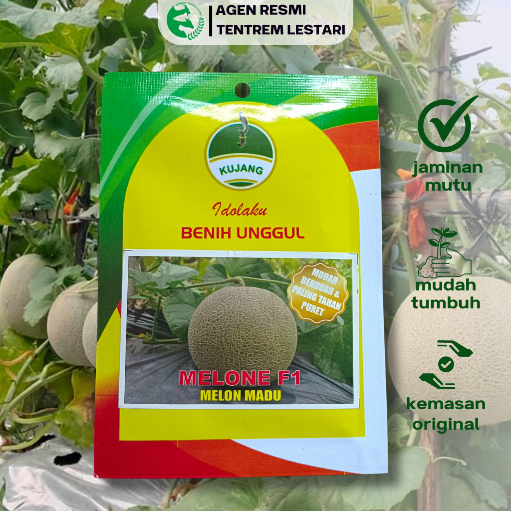 Benih Melon MELONE F1 50 Biji Asli Cap Kujang Unggul Manis