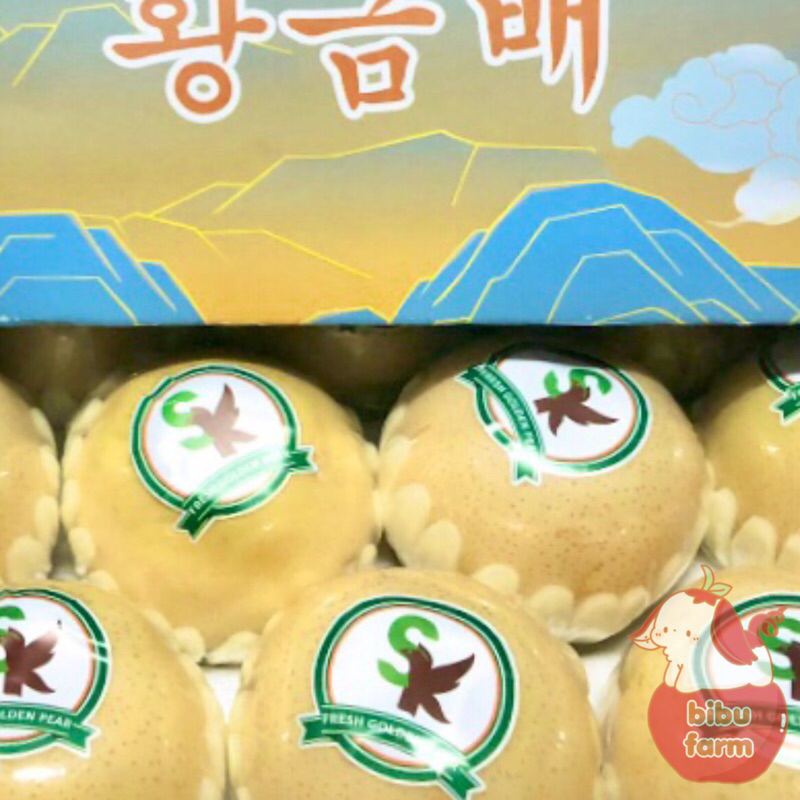 

Pear Golden SK Berat/Kilogram