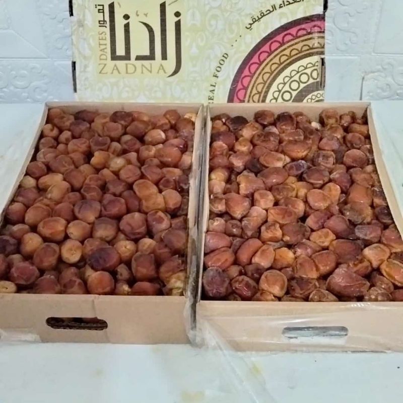

Kurma sukari