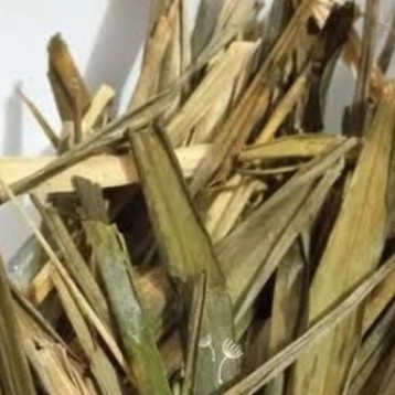 Daun Suji Kering Herbal Premium 1 kg & 500 gr