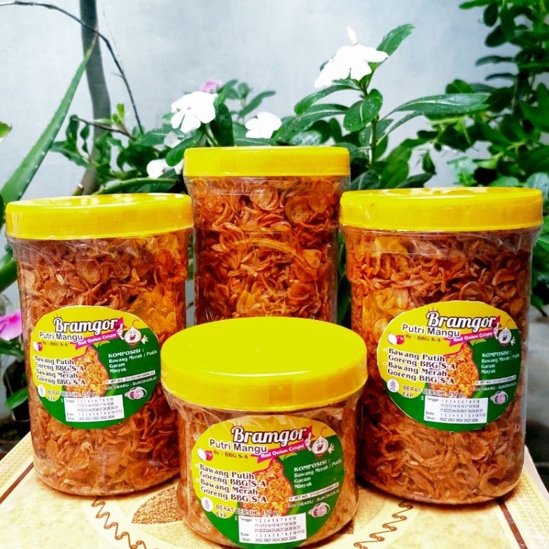 

66 Promo Brand OMG BAWANG GORENG Putri Mangu solo PREMIUM ASLI TANPA TEPUNG UK15253 gram