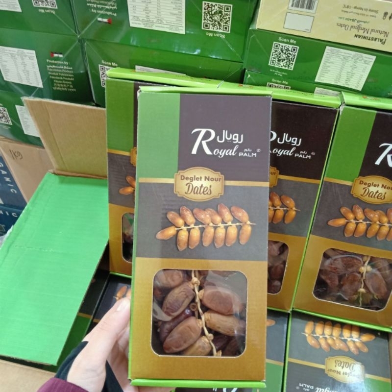 

KURMA TUNIS TANGKAI ROYAL