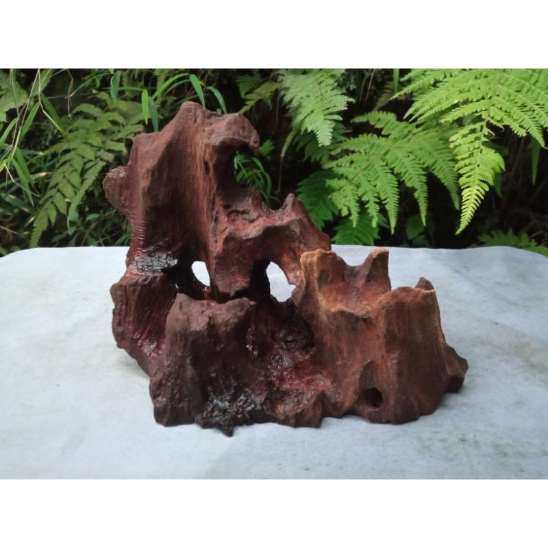 kayu Aquascape murah (Full tenggelam)