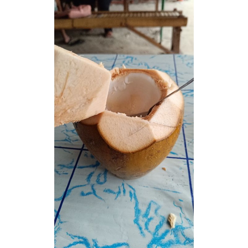 

cangkang kelapa