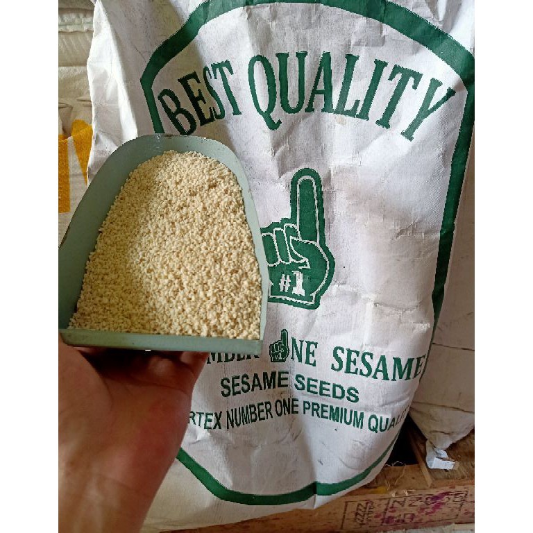 

GROSIR MURAH Wijen Putih Import 5gr 12kilogram Sesame Seeds Premium Quality Fresh