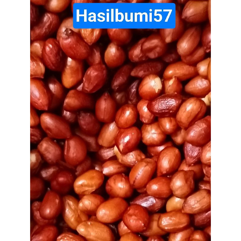 

Kacang Goreng /Kacang mateng 250 gram