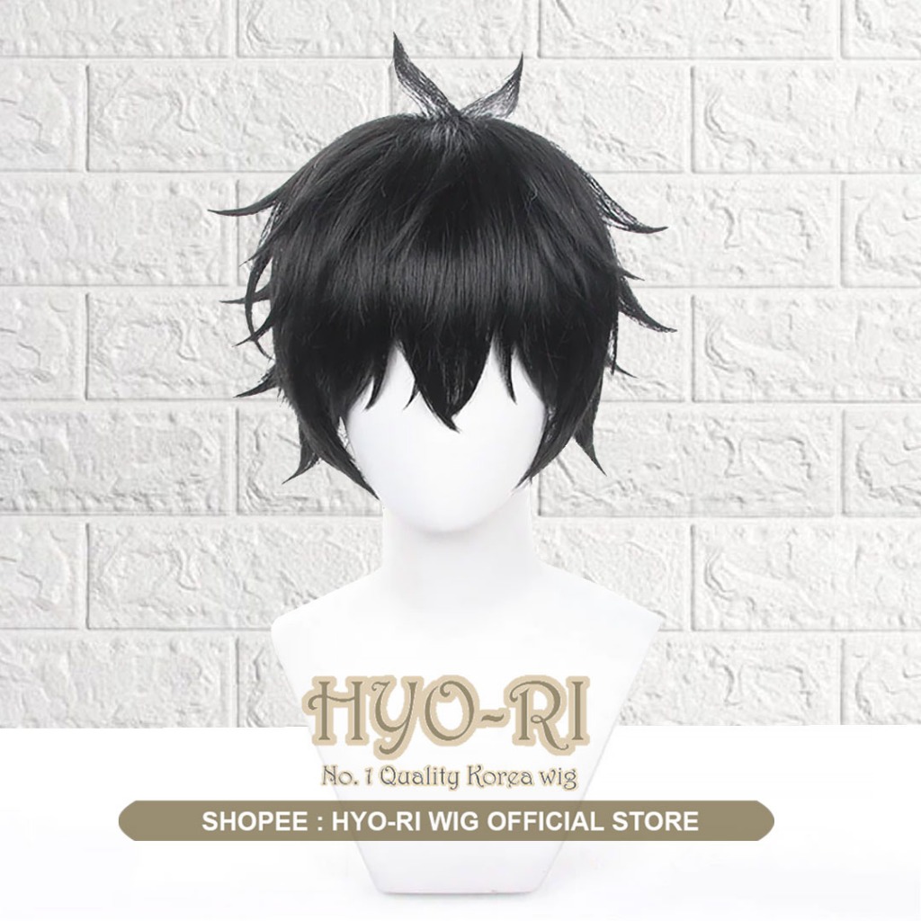 HYO-RI WIG : WIG DANHENG WIG DAN HENG WIG COSPLAY HSR HONKAI STAR RAIL