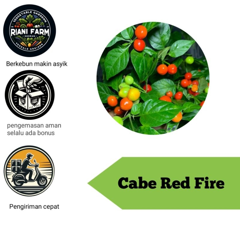 

Cabe Red Fire