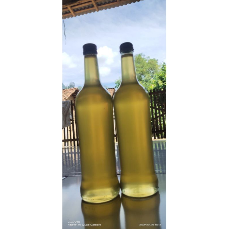 

madu hutan tawon kecil