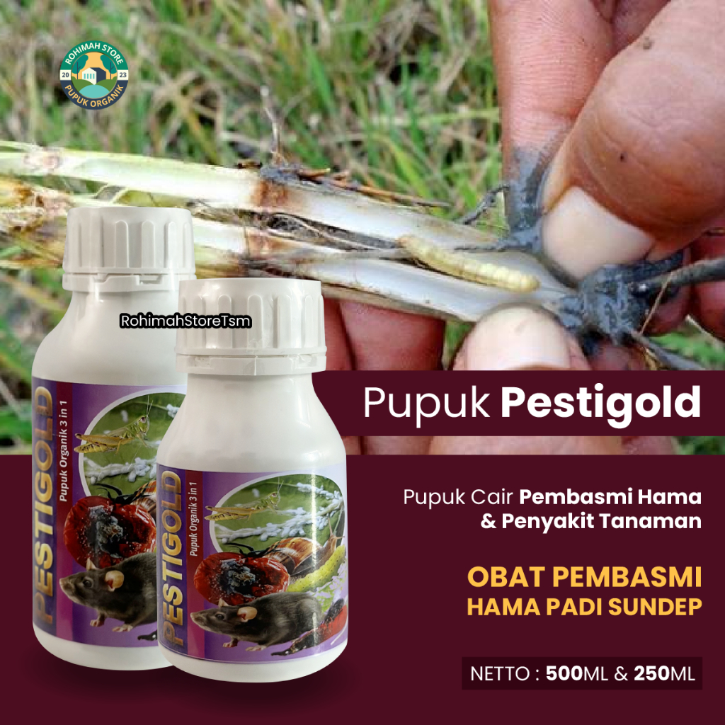 TERBARU Obat Hama Ulat Padi Sundep Beluk PESTIGOLD - Obat Hama Padi Terbagus Atasi Berbagai Macam Ha