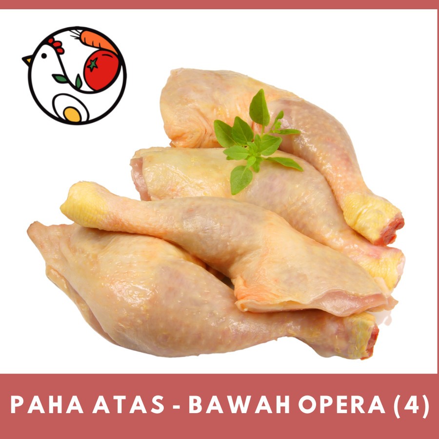 

Paha Tulang Ayam Organik 4 Pcs Opera Organics Chicken Thigh Leg Drumstick