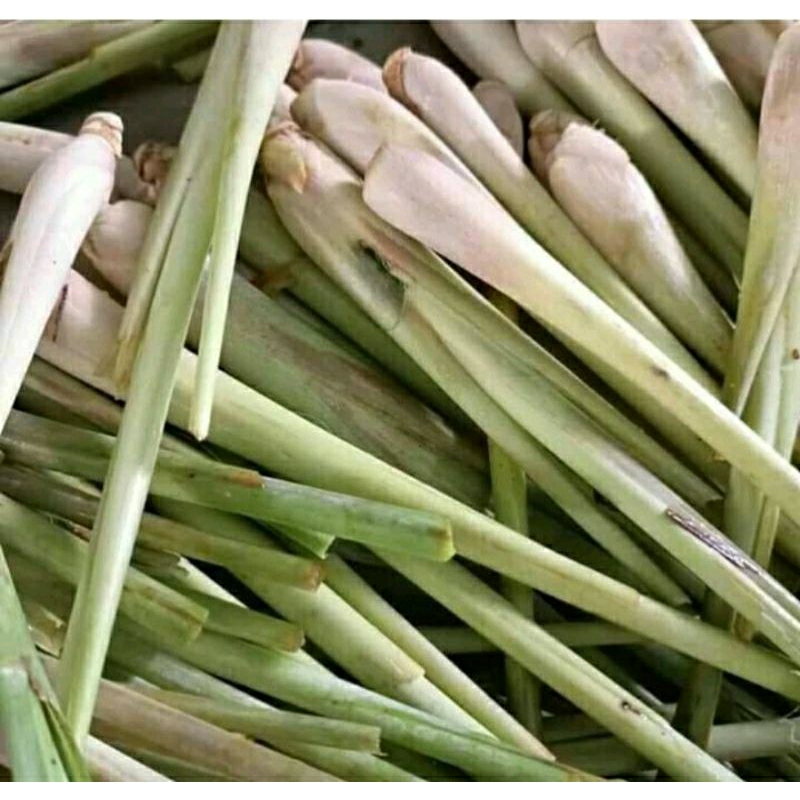 

sereh/serai bumbu dapur 250 gr