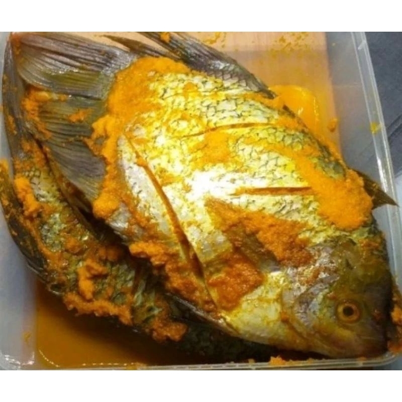 

Gurame Bumbu Kuning Satu Ekor