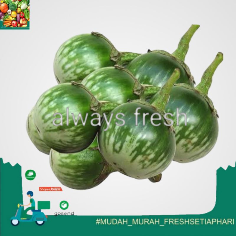 

- always fresh palembang