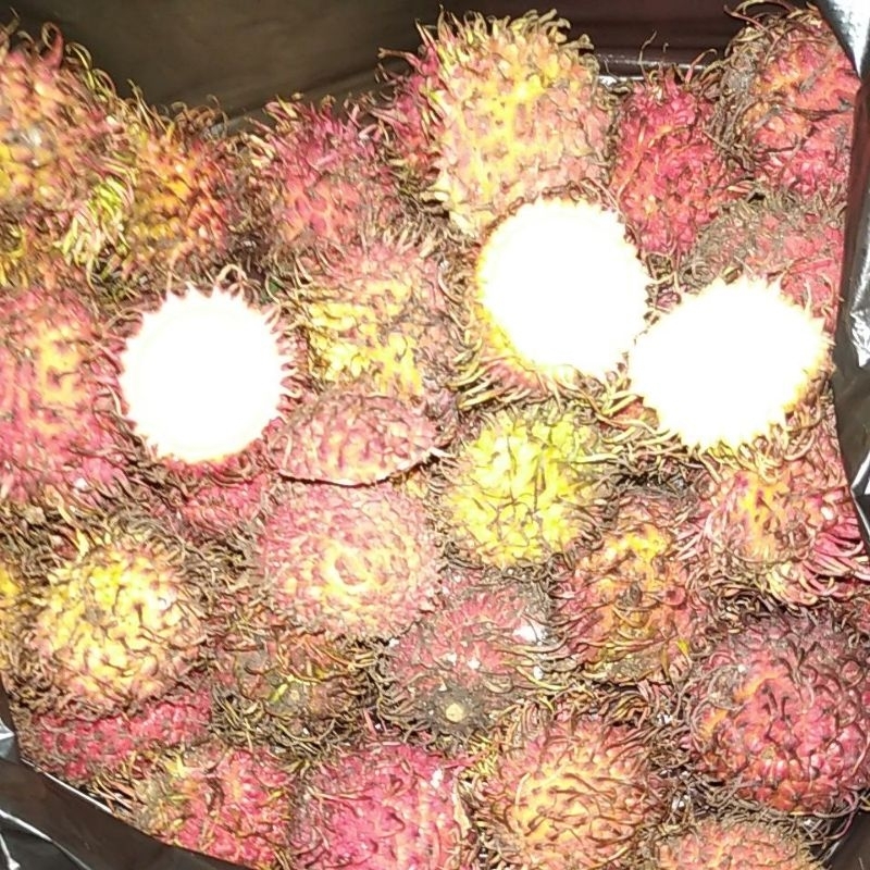 

Buah Rambutan kelotok manis segar