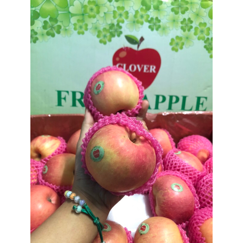 

Apel Fuji China Clover size 88 /kg