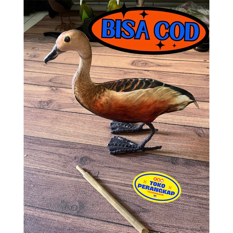 Patung Manekin Burung Belibis Kembang - Jontrot Pemikat burung belibis