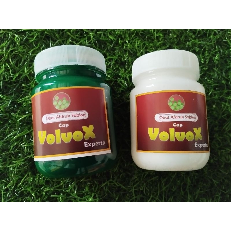 

Obat Afdruk Sablon Volvox Experta Harga Murah