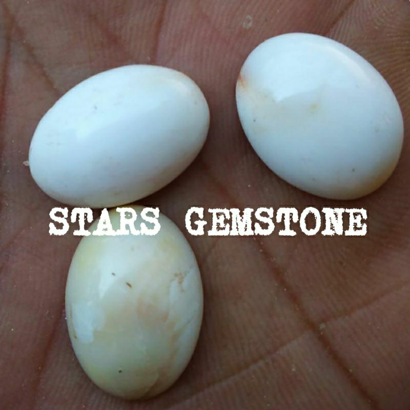 BATU CINCIN KEONG BUNTET HARGA KODIAN / 20 PCS BISA JALAN DI AIR CUKA