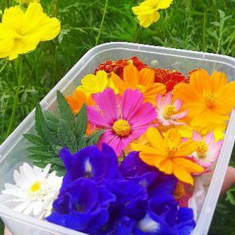 

New event Edible Flowers Mix 5 Pcs