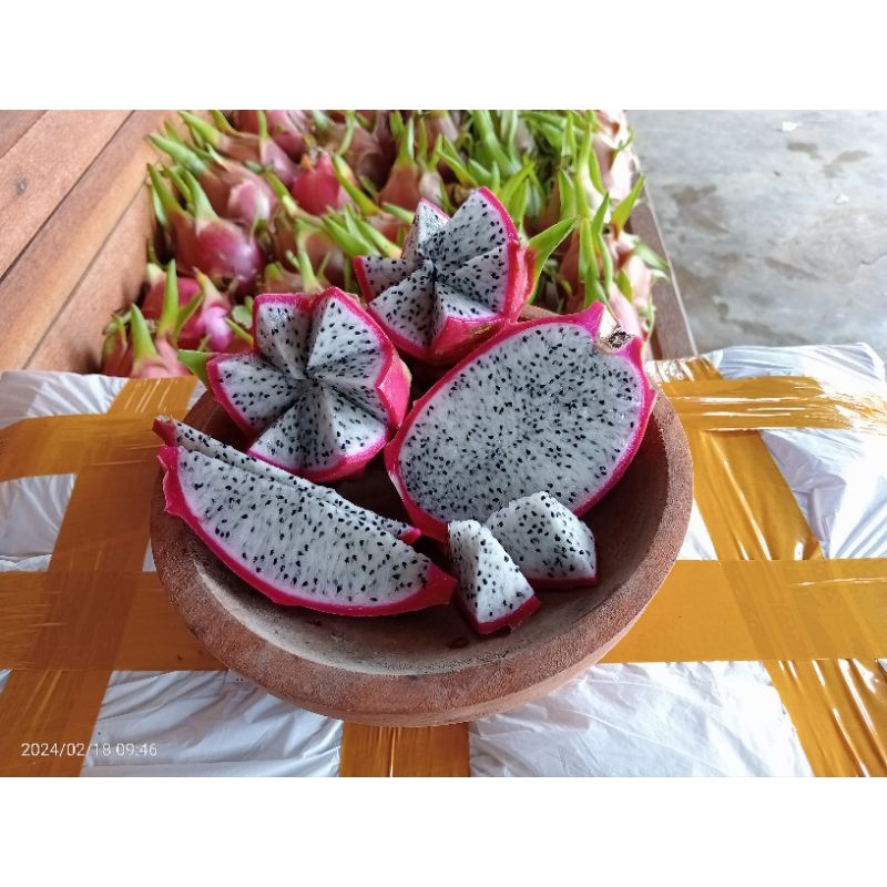 

buah naga putih 2.KG_isi(3-7pcs)