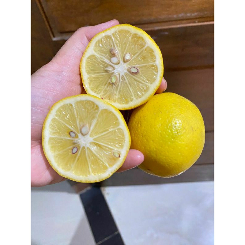 

Buah Lemon Lokal 1 kg