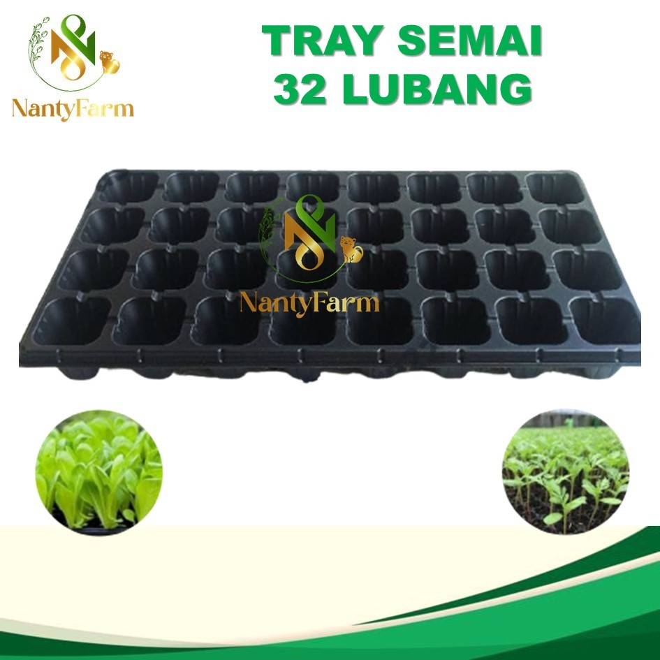 Tray Semai 128 Lubang Traypot Pot Seed Tray Biji Bibit- Tray Semai 128 Lubang